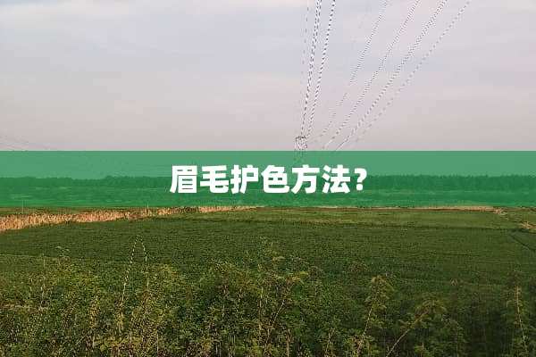 眉毛护色方法？