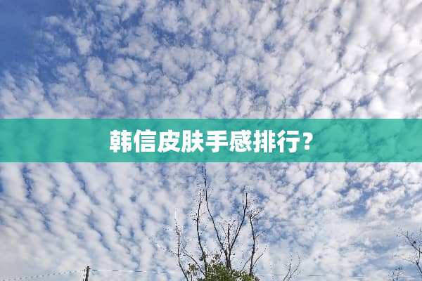 韩信皮肤手感排行？