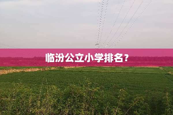 临汾公立小学排名？