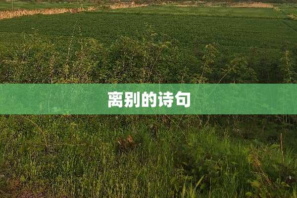 离别的诗句