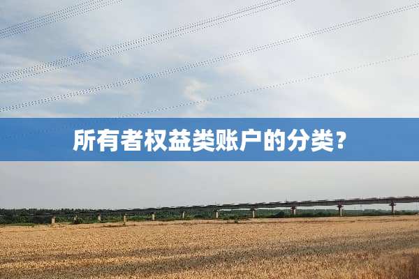 所有者权益类账户的分类？