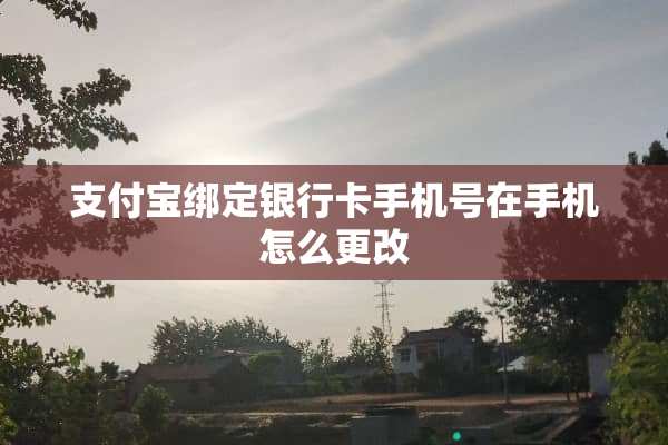 支付宝绑定***手机号在手机怎么更改