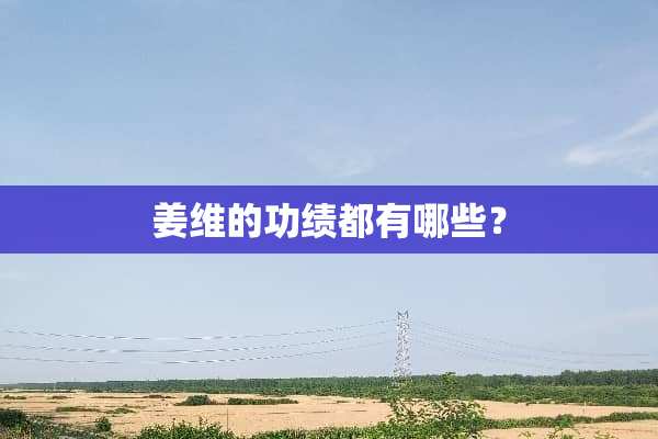 姜维的功绩都有哪些？