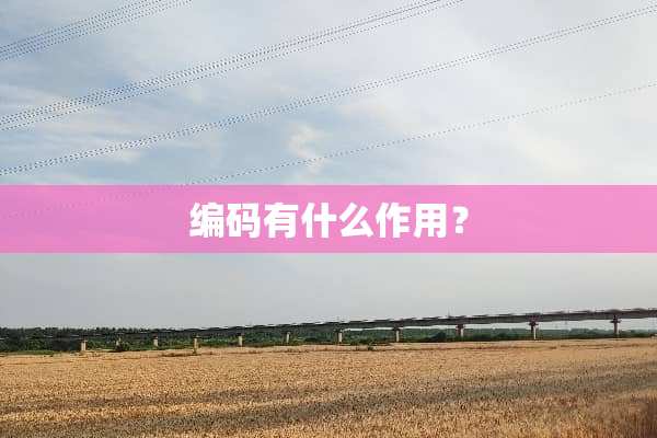 编码有什么作用？
