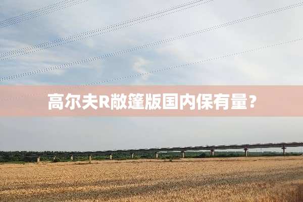 高尔夫R敞篷版国内保有量？