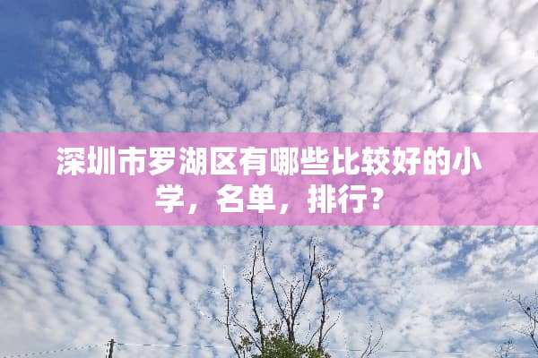 深圳市罗湖区有哪些比较好的小学，名单，排行？