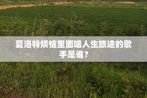 夏洛特烦恼里面唱人生旅途的歌手是谁？