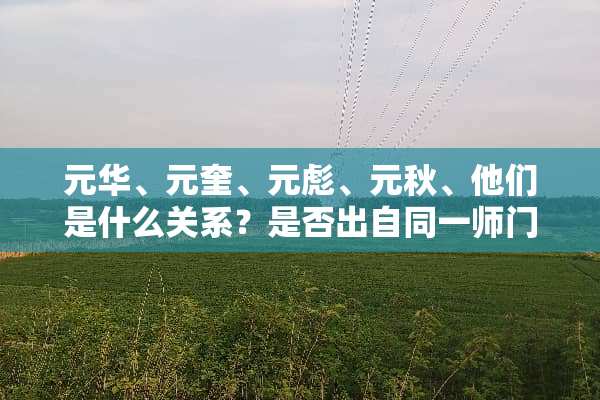 元华、元奎、元彪、元秋、他们是什么关系？是否出自同一师门？