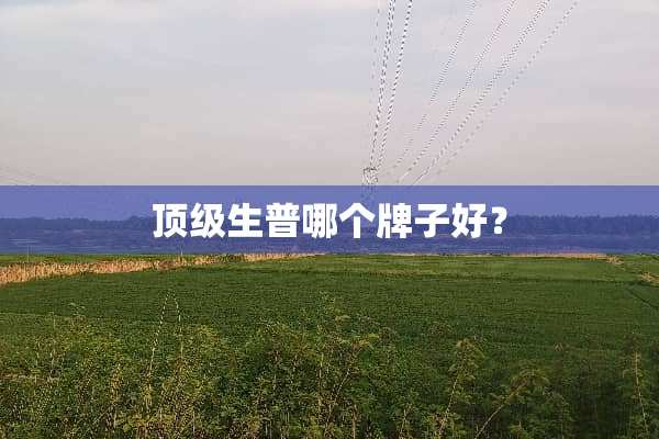 **生普哪个牌子好？