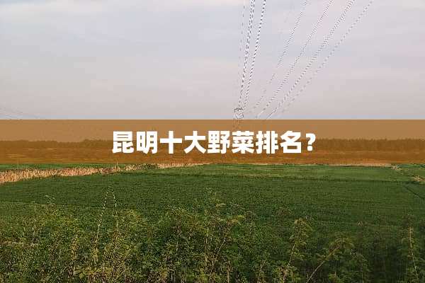 昆明十大野菜排名？