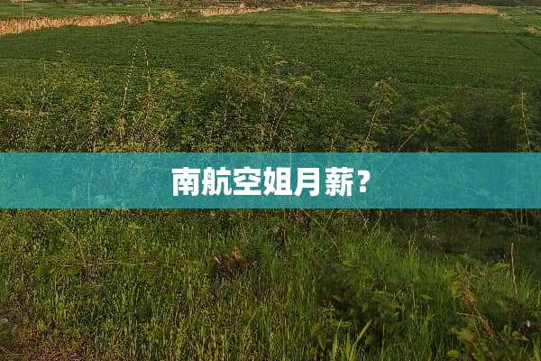 南航空姐月薪？