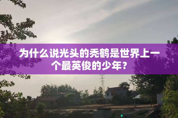 为什么说光头的秃鹤是世界上一个最英俊的少年？