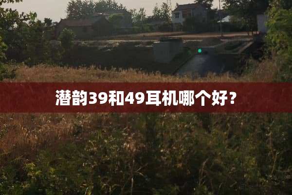 潜韵39和49耳机哪个好？