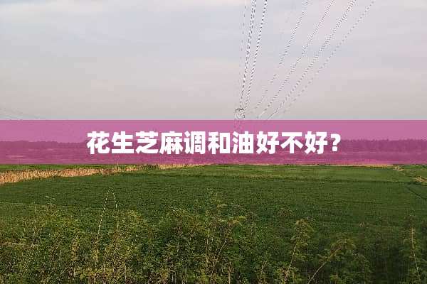 花生芝麻调和油好不好？