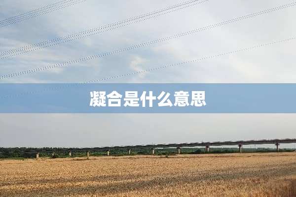 凝合是什么意思