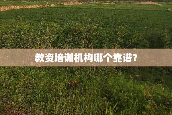 教资培训机构哪个靠谱？