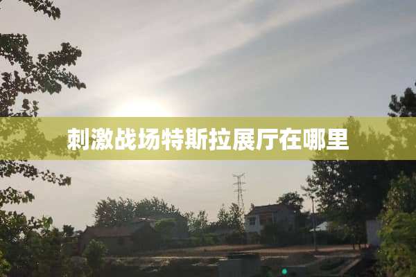 **战场特斯拉展厅在哪里