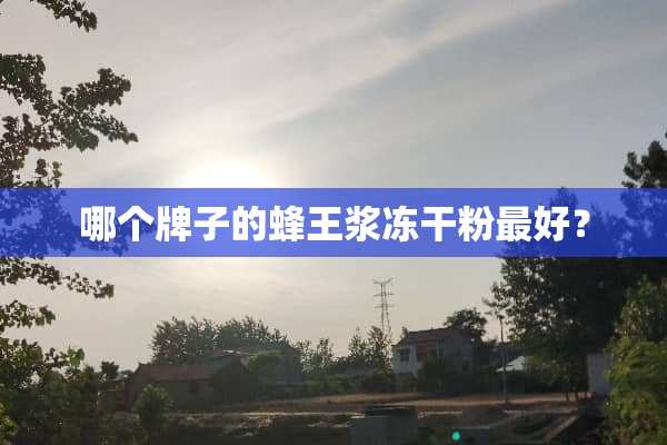 哪个牌子的蜂王浆***最好？