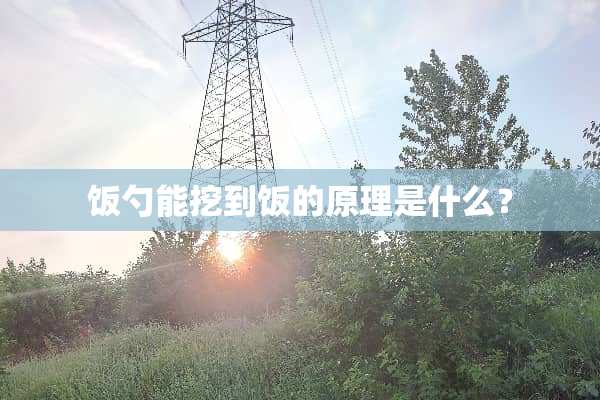饭勺能挖到饭的原理是什么？