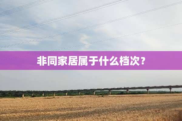 非同家居属于什么档次？