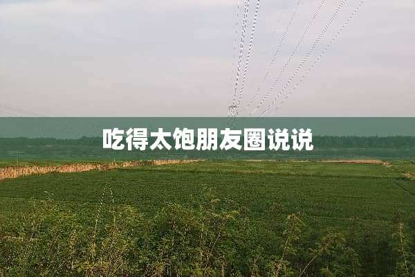 吃得太饱朋友圈说说