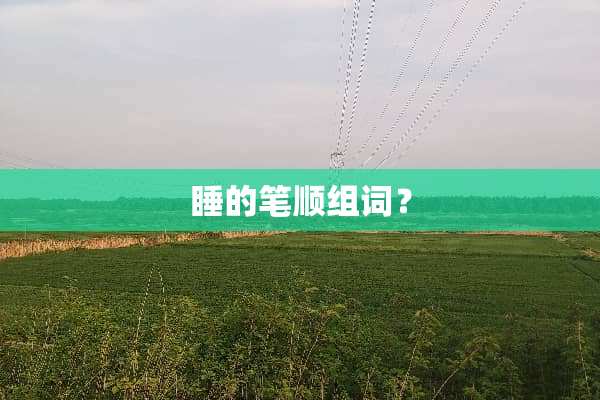 睡的笔顺组词？