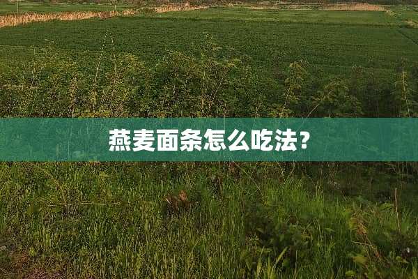 燕麦面条怎么吃法？