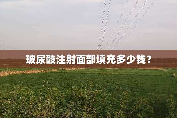 玻尿酸注射面部填充多少钱？
