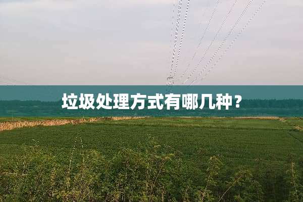 垃圾处理方式有哪几种？