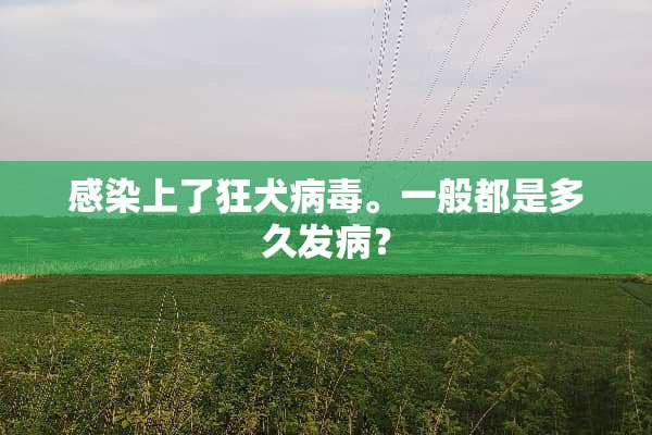 感染上了狂犬**。一般都是多久发病？