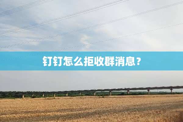 钉钉怎么拒收群消息？