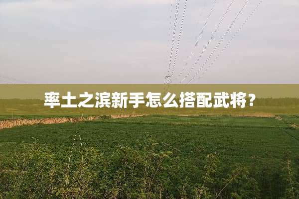 率土之滨新手怎么搭配武将？