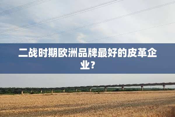 二战时期欧洲品牌最好的皮革企业？