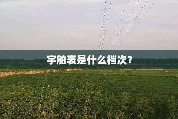 宇舶表是什么档次？