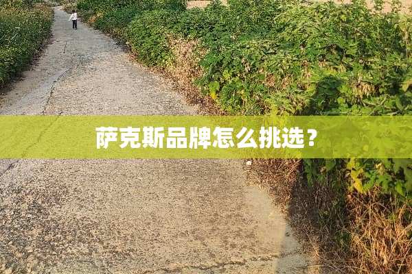 萨克斯品牌怎么挑选？