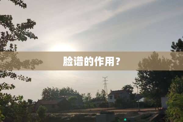 脸谱的作用？