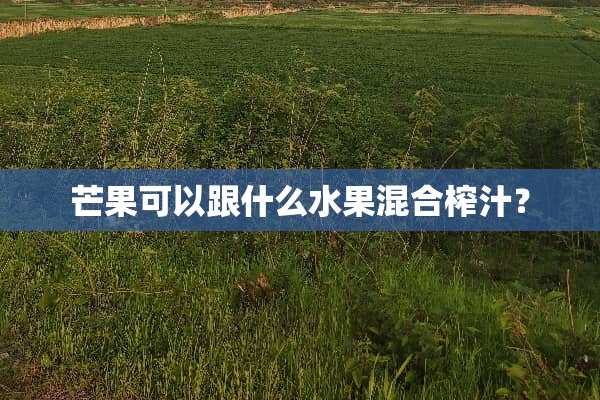 芒果可以跟什么水果混合榨汁？