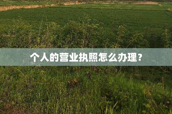 个人的营业执照怎么办理？