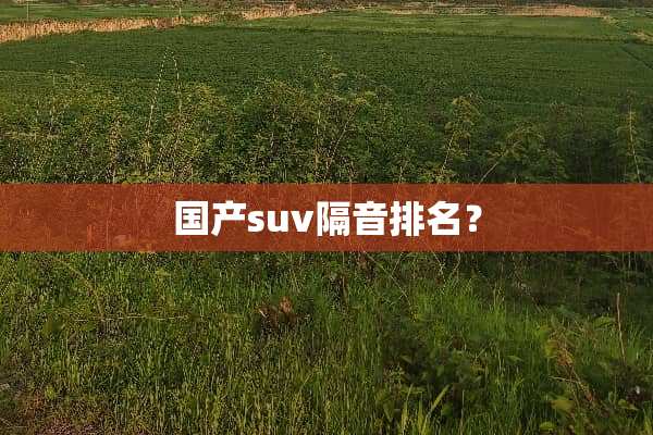 国产suv隔音排名？