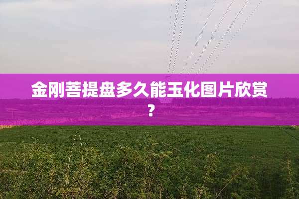 金刚**盘多久能玉化图片欣赏？