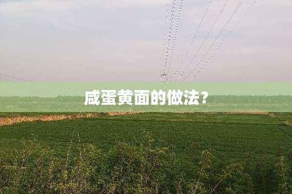 咸蛋黄面的做法？