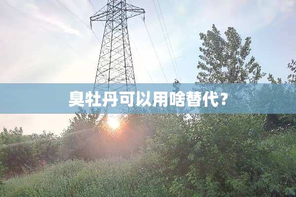 臭牡丹可以用啥替代？