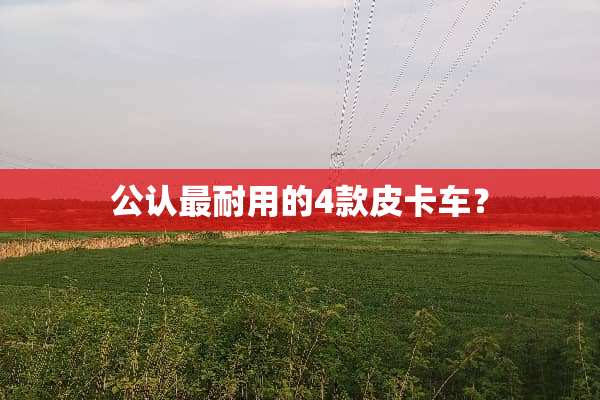 公认最耐用的4款皮卡车？