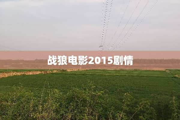 战狼电影2015剧情