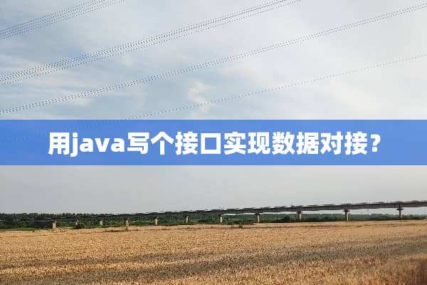 用java写个接口实现数据对接？