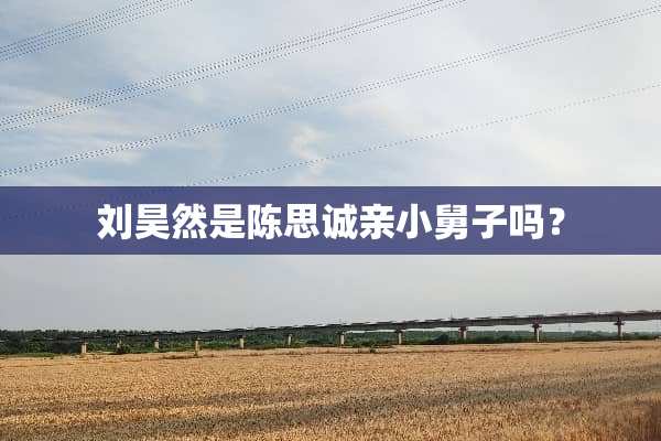 刘昊然是陈思诚亲小舅子吗？