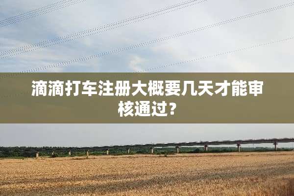 滴滴打车注册大概要几天才能审核通过？