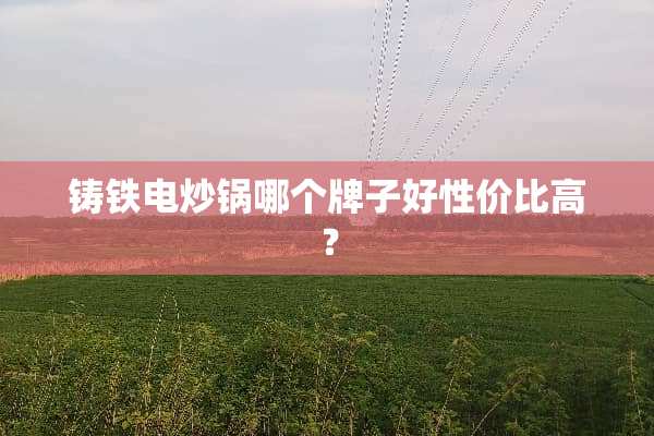铸铁电炒锅哪个牌子好性价比高？