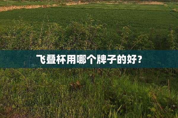 飞叠杯用哪个牌子的好？