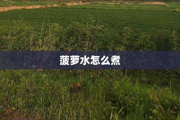 菠萝水怎么煮